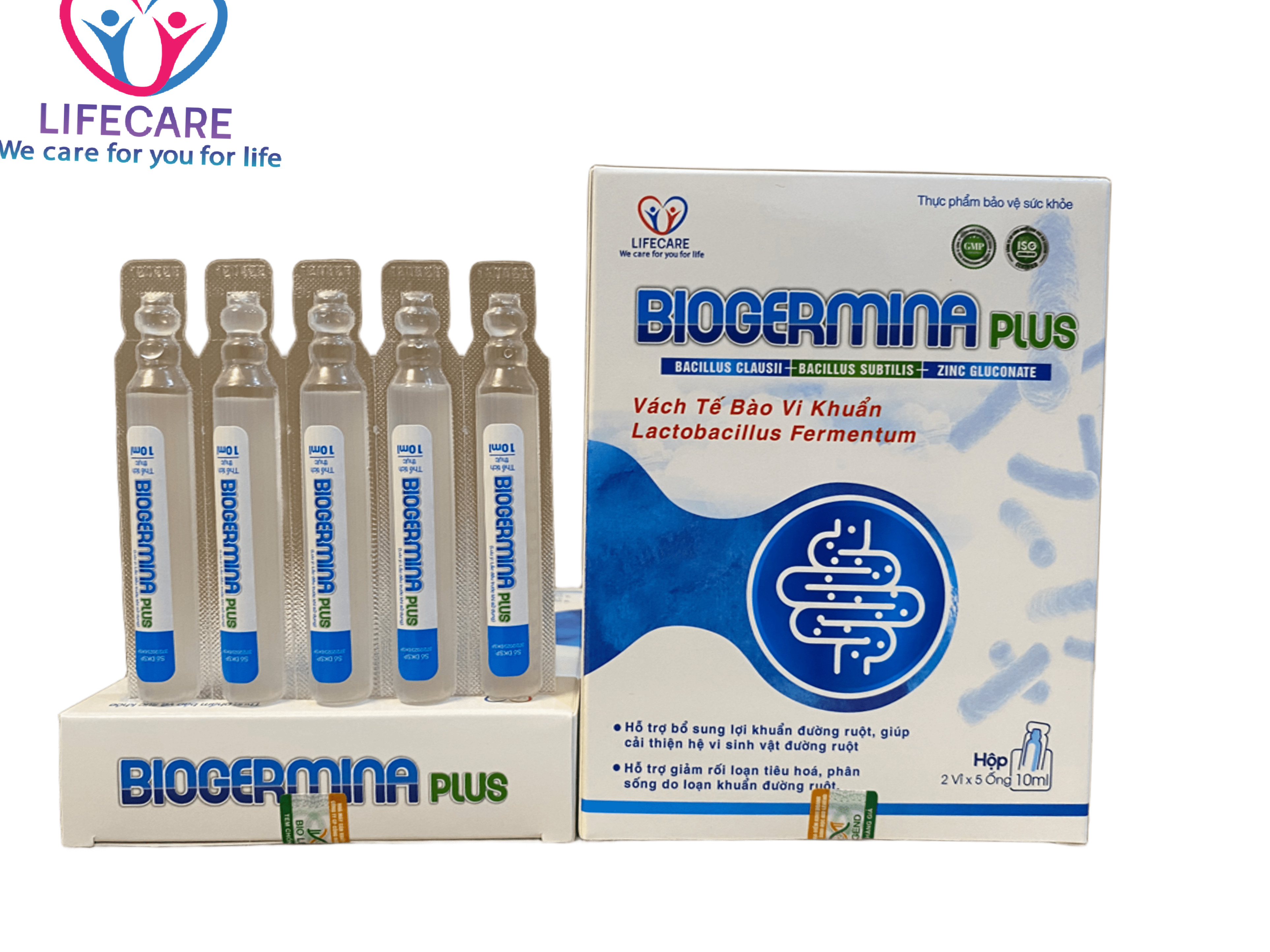 Men vi sinh bào tử lợi khuẩn BIOGERMINA plus